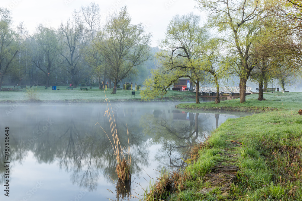 custom made wallpaper toronto digitalSpring Landscape of Grădina Botanică din Chișinău – Blooming Flowers, Lush Green Park, Urban Nature Oasis, Scenic Botanical Garden in Moldova Capital, Peaceful City Park in Springtime
