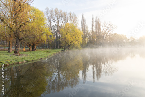 Wallpaper Mural Spring Landscape of Grădina Botanică din Chișinău – Blooming Flowers, Lush Green Park, Urban Nature Oasis, Scenic Botanical Garden in Moldova Capital, Peaceful City Park in Springtime Torontodigital.ca
