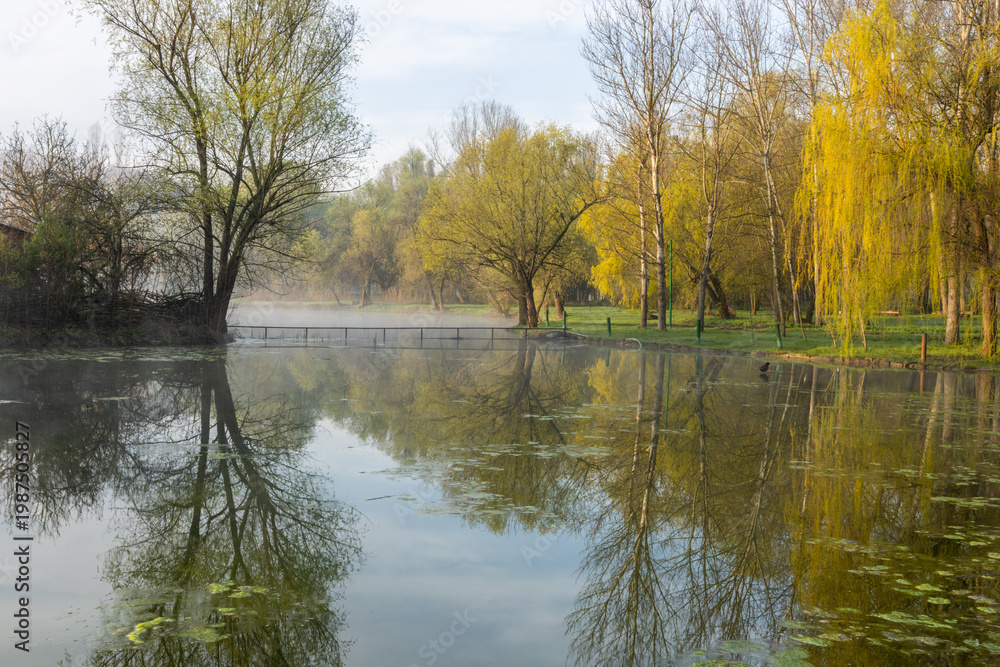 custom made wallpaper toronto digitalSpring Landscape of Grădina Botanică din Chișinău – Blooming Flowers, Lush Green Park, Urban Nature Oasis, Scenic Botanical Garden in Moldova Capital, Peaceful City Park in Springtime