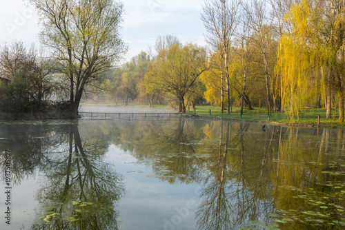 Wallpaper Mural Spring Landscape of Grădina Botanică din Chișinău – Blooming Flowers, Lush Green Park, Urban Nature Oasis, Scenic Botanical Garden in Moldova Capital, Peaceful City Park in Springtime Torontodigital.ca