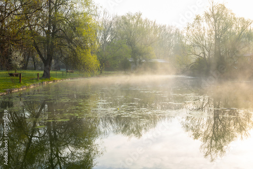 Wallpaper Mural Spring Landscape of Grădina Botanică din Chișinău – Blooming Flowers, Lush Green Park, Urban Nature Oasis, Scenic Botanical Garden in Moldova Capital, Peaceful City Park in Springtime Torontodigital.ca