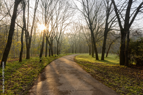 Wallpaper Mural Spring Landscape of Grădina Botanică din Chișinău – Blooming Flowers, Lush Green Park, Urban Nature Oasis, Scenic Botanical Garden in Moldova Capital, Peaceful City Park in Springtime Torontodigital.ca