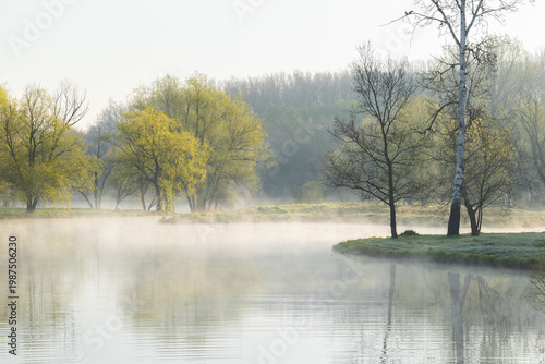 Wallpaper Mural Spring Landscape of Grădina Botanică din Chișinău – Blooming Flowers, Lush Green Park, Urban Nature Oasis, Scenic Botanical Garden in Moldova Capital, Peaceful City Park in Springtime Torontodigital.ca