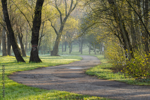 Wallpaper Mural Spring Landscape of Grădina Botanică din Chișinău – Blooming Flowers, Lush Green Park, Urban Nature Oasis, Scenic Botanical Garden in Moldova Capital, Peaceful City Park in Springtime Torontodigital.ca