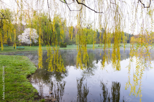 Wallpaper Mural Spring Landscape of Grădina Botanică din Chișinău – Blooming Flowers, Lush Green Park, Urban Nature Oasis, Scenic Botanical Garden in Moldova Capital, Peaceful City Park in Springtime Torontodigital.ca