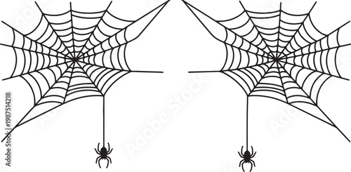 Two black spiderwebs with dangling spiders on a white background, symmetrical composition also transparent background