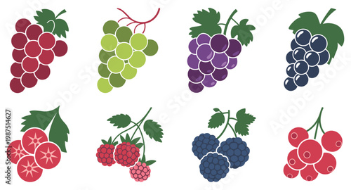 Flat set of eight different berries and grapes including red green purple and black grapes raspberries blackberries and red currants with green leaves on white background