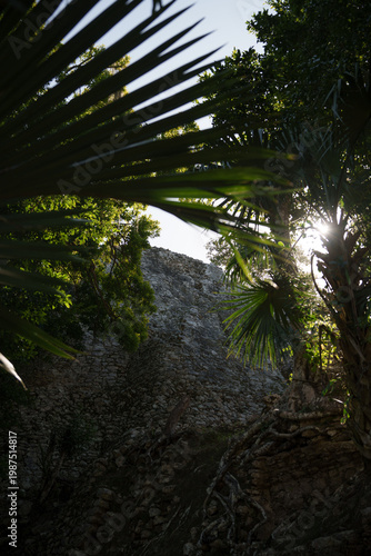 Exploring coba mayan ruins in tropical yucatan jungle