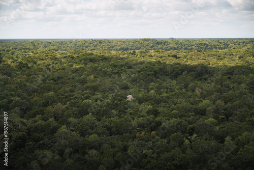 Mayan city cobá jungle aerial view yucatán mexico