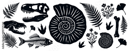 Fossil icons with ammonite skull fern silhouette