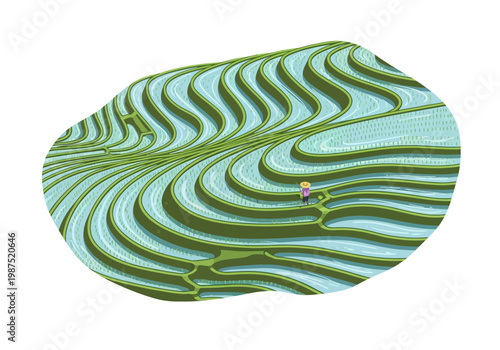 Breathtaking Top-Down Vector Illustration of Lush Green Terraced Fields with a Tiny Figure Exploring