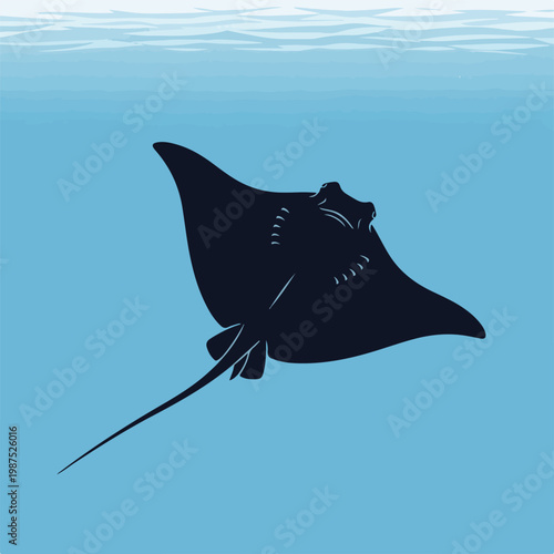 Stingray Silhouette Swimming Under Deep Blue Sea Water