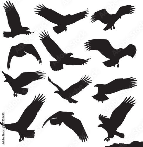 Eagle Silhouettes Set: Flying Birds of Prey and Raptors in Flight