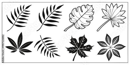 Tropical and deciduous leaf vector elements set.