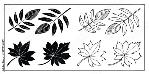 Set of hand drawn leaf vector icons for designers.