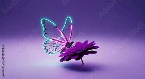 butterfly on black background