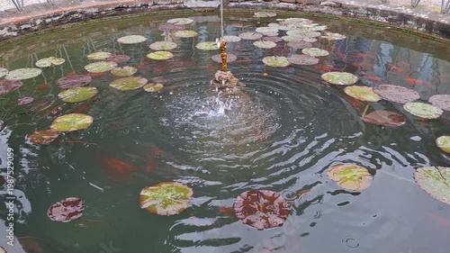 Calm ornamental pond with bubbling fountain, koi fish and floating lily pads. Peaceful garden water scene with ripples, reflections and natural texture.