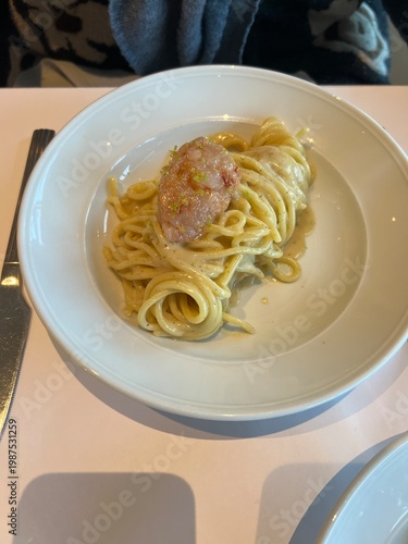 Elegant serving of creamy pasta with a gourmet topping.

A professional top-down shot of a swirl of long pasta in a light cream sauce, finished with a delicate protein or vegetable toppin