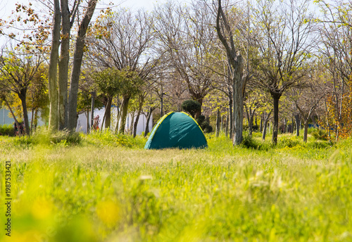 Quadro em tela Green camping tent set up on a lush grassy field in a sunny forest with tall trees and vibrant spring nature background