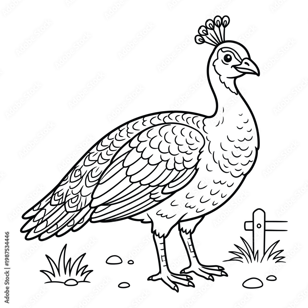 Fototapeta premium Simple Peacock Line Art Illustration for Kids Coloring Book Page