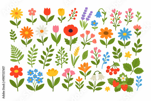Colorful floral elements collection in flat color style. Set of spring and summer wild flowers, plants, leaves, berries, and strawberries for botanical design, garden patterns, and nature art.