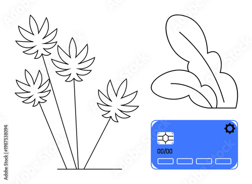 Sustainability, eco-friendly payment, digital transactions, organic lifestyle, cannabis industry, modern finance. Cannabis plants, green leaves and a digital payment card. Sustainability
