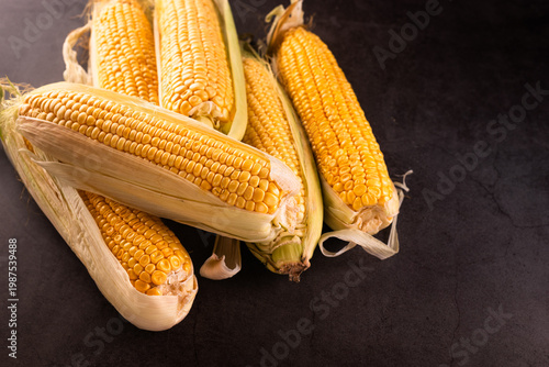 Ripe Corn Cobs on Dark Surface - Harvest Time