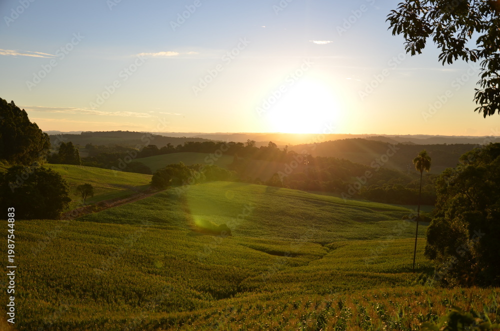 Fototapeta premium Golden sunset over rolling hills in Serra Gaúcha, Rio Grande do Sul, Brazil
