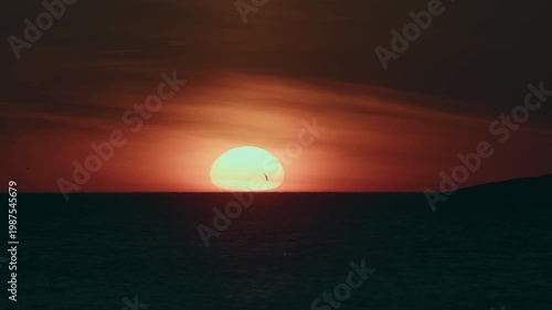 Sunset Over Horizon With Silhouetted Gull In Slow Motion.