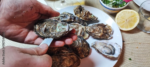 A close-up of hands opening fresh oysters with a knife over a plate. Concepts of fine dining, seafood delicacies, restaurant dining, home cooking, nutrition, and authentic gastronomic experiences.