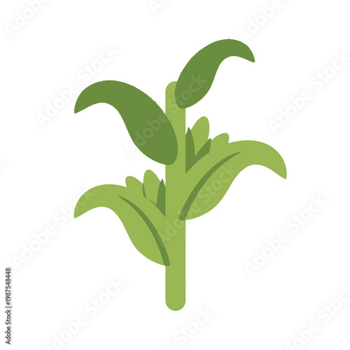 Green Plant Stem with Leaves Isolated on White Background, Simple Vector Illustration