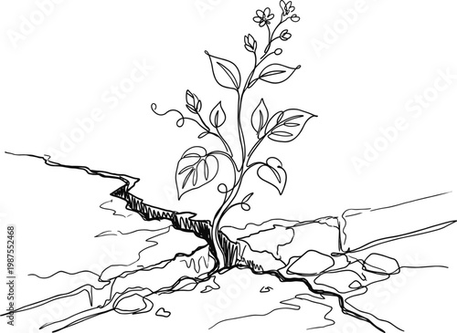 Continuous line drawing plant growing through cracked ground resilience hope growth nature survival concept minimal vector outline illustration style modern