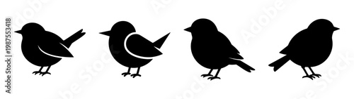 Minimalist bird silhouette set, black sparrow icons, 4 avian vector elements for logo