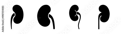 Human kidney icons set, black medical organ silhouettes, 4 anatomical vector elements