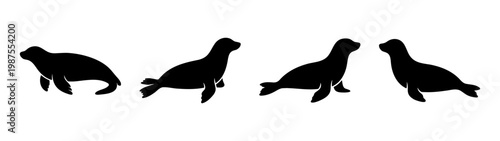 Seal silhouette vector set, marine animal icons, black sea lion shapes for logo design