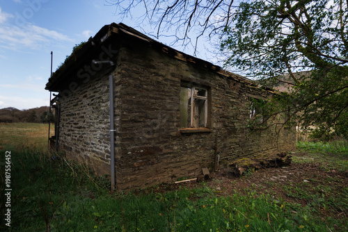 Derelict cottage