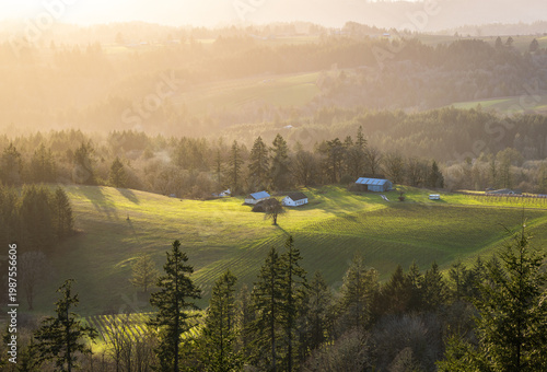Sunlight bathes rolling hills covered in green grass. Trees line the slopes, casting shadows on the terrain. Small houses nestled among the landscape. Peaceful morning view with soft golden light