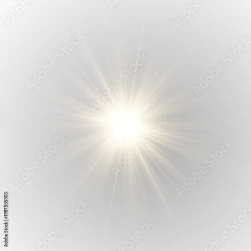 Warm sunlight overlay with glowing rays in PNG format. Light leaks add softness and warmth. Perfect for natural and outdoor visuals.
