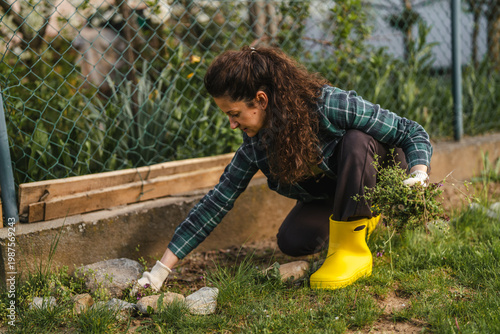 Canvas Print Woman carefully weeding green plants in a home garden