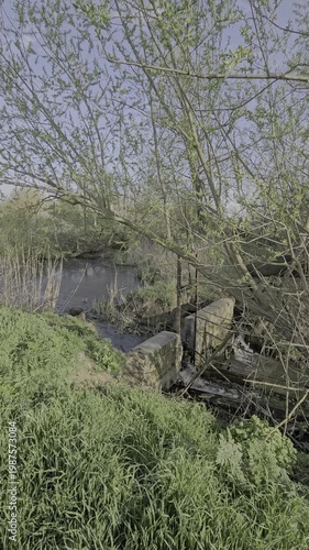 A bridge over a stream