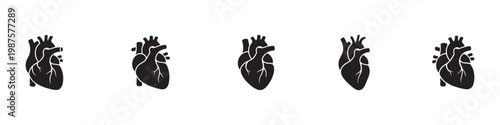 Anatomical heart icon. Set of human anatomical heart silhouettes. Medical vector icons of internal organ with arteries and veins. Vector Illustration. EPS 10