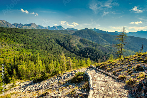 road in the mountains