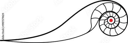 Stylized nautilus shell vector illustration, abstract spiral seashell icon, marine mollusk design element