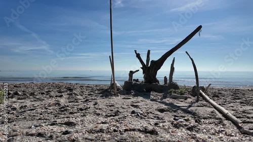 Driftwood structure on sandy beach, calm sea horizon, minimal coastal scene under blue sky , dead tree on the beach. 