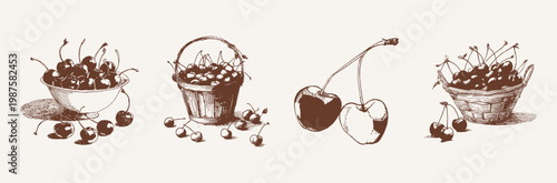 Cherry bowls basket pair fruit vintage collection. Includes cherries in bowls, bucket and single pair composition. Illustrations for packaging and menus, hand drawn sketch style.