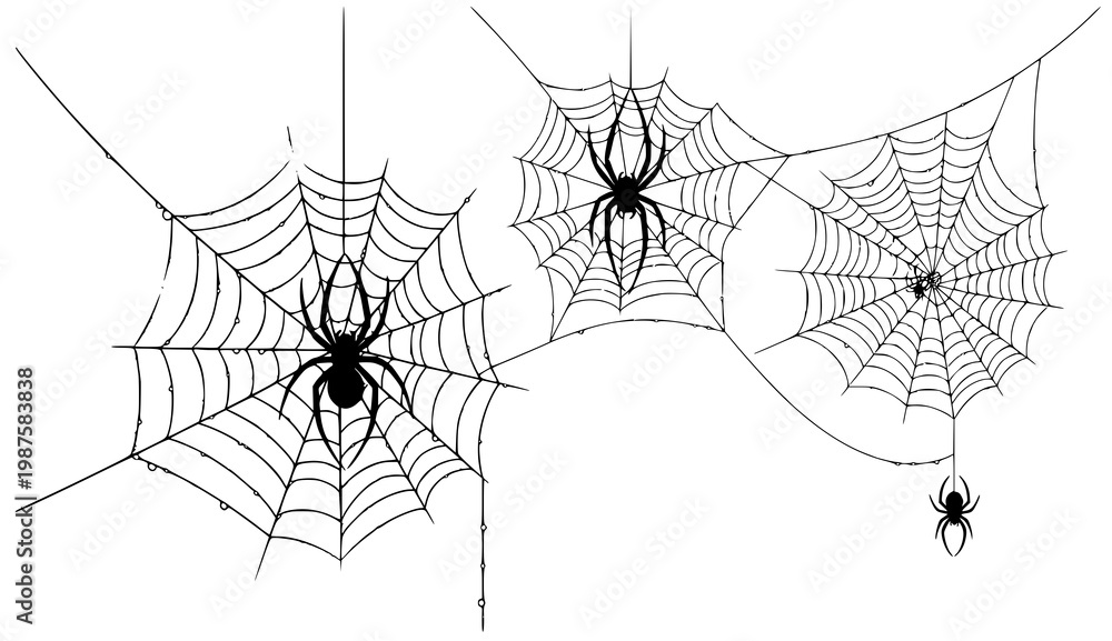 Obraz premium Black silhouette of spider webs with spiders and dew drops