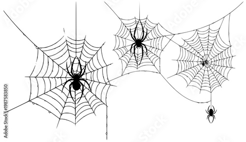 Black silhouette of spider webs with spiders and dew drops