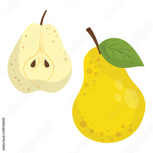 Yellow Pear Fruit Vector Illustration with Half Sliced Pear and Seeds Isolated on White Background