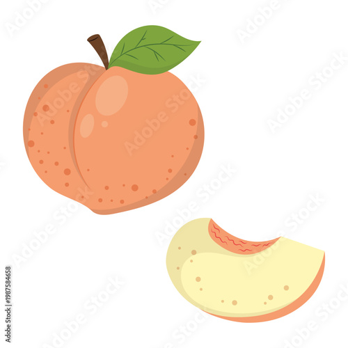 Ripe Peach Vector Illustration with Peach Slice Isolated on White Background