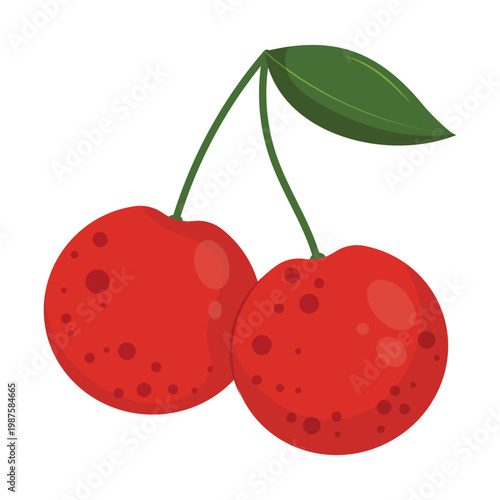 Red Cherry Fruit Vector Illustration with Stem and Leaf Isolated on White Background